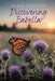 Discovering Isabella by Karen Spearing