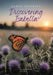 Discovering Isabella by Karen Spearing