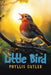 Little Bird by Phyllis Cutler