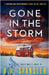 Gone in the Storm: A gripping and unputdownable serial killer thriller by Spangler, B. R.