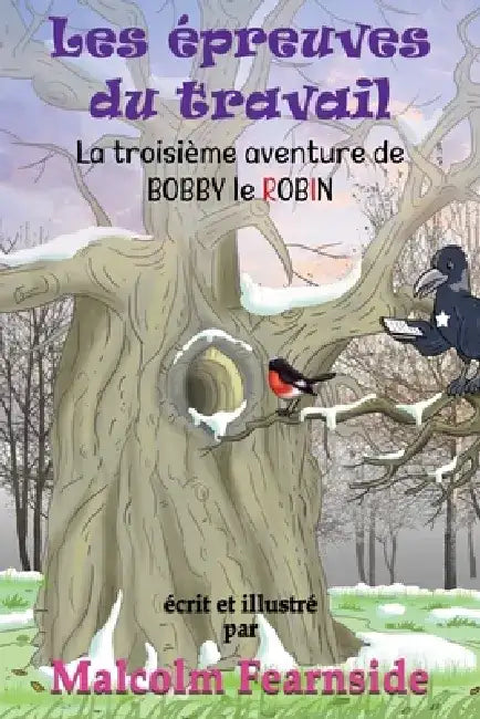 Les épreuves du travail: La troisième aventure de BOBBY le ROBIN by Malcolm Fearnside