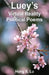 Luey's Virtual Reality Political Poems by Hong X. Lu, Maple Publishers