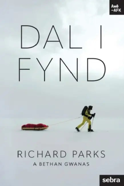 Stori Sydyn: Dal i Fynd by Richard Parks