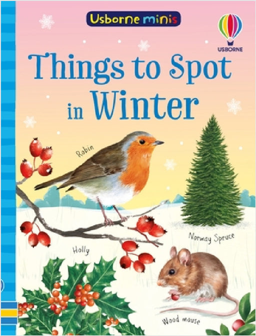 Things to Spot in Winter by Simon Tudhope