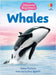 Beginners Whales by James Maclaine