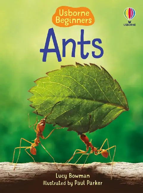 Ants (Usborne Beginners) by Lucy Bowman