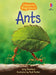 Ants (Usborne Beginners) by Lucy Bowman
