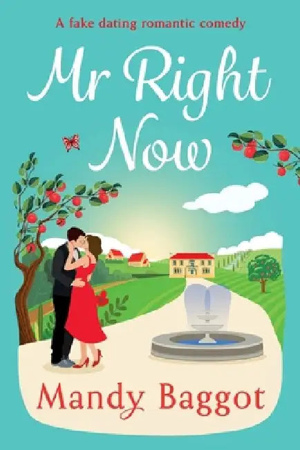 Mr Right Now by Mandy Baggot
