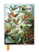 Ernst Haeckel: Hummingbirds (Foiled Blank Journal) by Flame Tree Studio