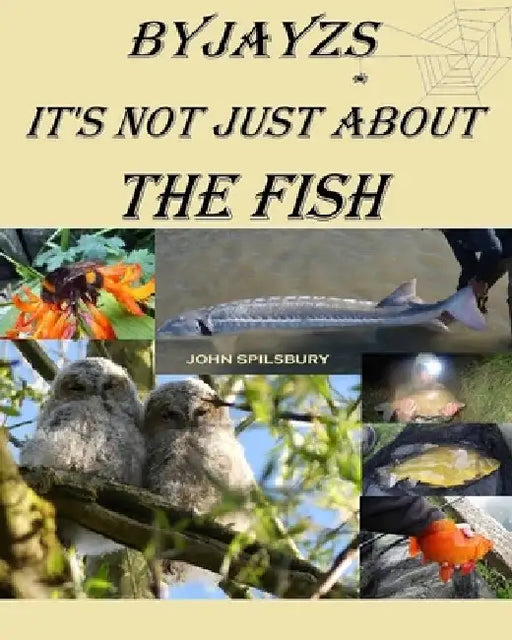 It's Not Just About the Fish by Jayzs