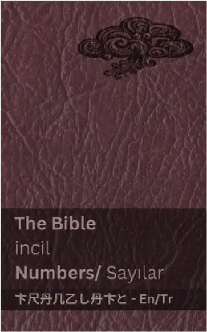 The Bible (Numbers) / İncil (Sayılar): Tranzlaty English Türkçe by Kjv