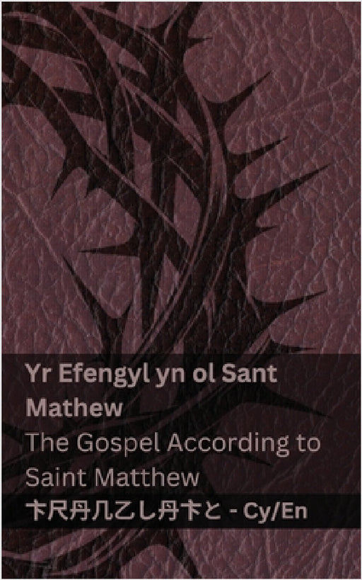 Y Beibl (Yr Efengyl yn ol Sant Mathew) / The Bible (The Gospel According to Saint Matthew): Tranzlaty Cymraeg English by Kjv, Tranzlaty