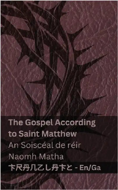 The Bible (The Gospel According to Saint Matthew) / An Bíobla (An Soiscéal de réir Naomh Matha): Tranzlaty English Gaeilge by Kjv