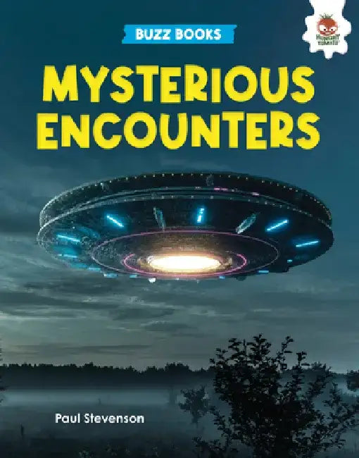 Mysterious Encounters by Paul Stevenson