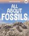 Earth's Detectives: All About Fossils by Rebecca Storm