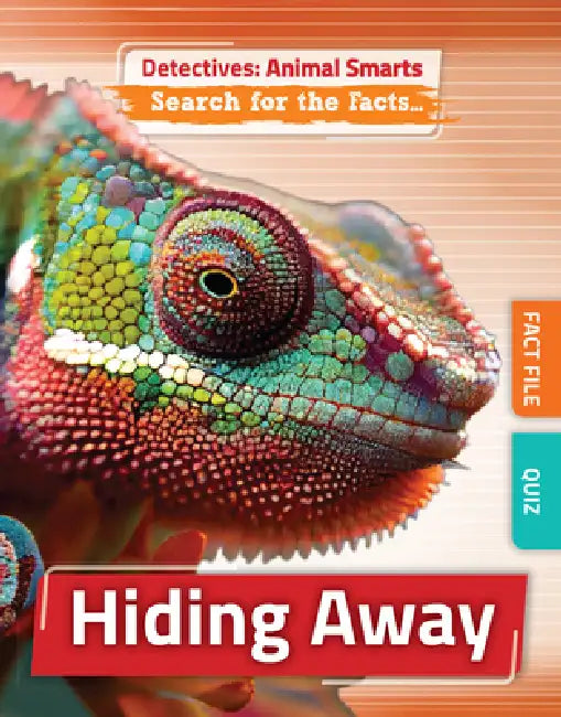 Hiding Away by Anne O'Daly, Helena Perez Garcia