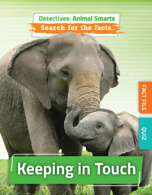 Keeping in Touch by Anne O'Daly, Helena Perez Garcia