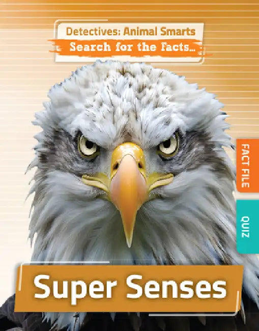 Super Senses by Anne O'Daly