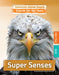 Super Senses by Anne O'Daly