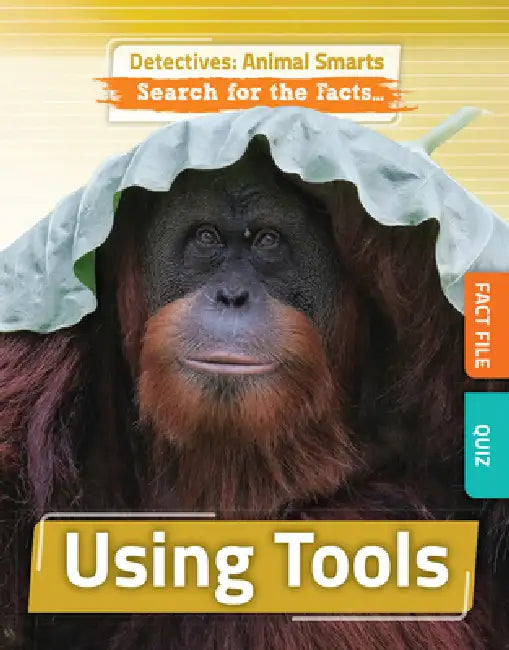 Using Tools by Anne O'Daly