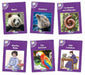 Core Purple Non-Fiction Readers (6 books): In Precursive Letters by Sara Wernham