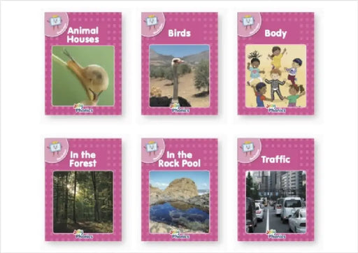 Jolly Phonics Pink Readers Nonfiction: in Precursive Letters (British English Edition) by Sara Wernham