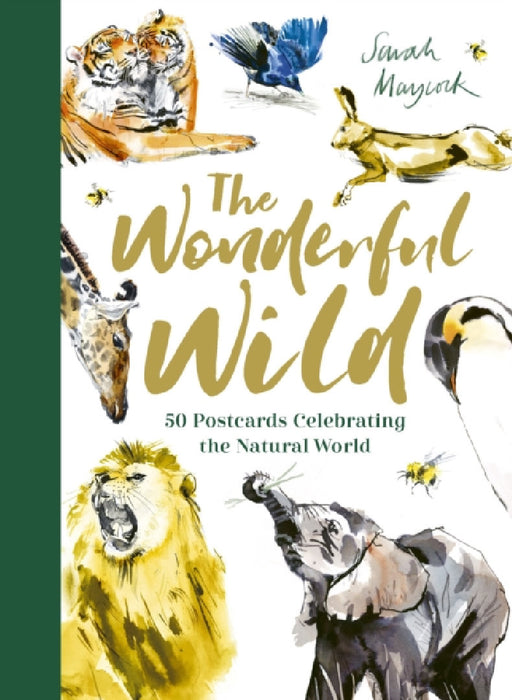 The Wonderful Wild: 50 Postcards Celebrating the Natural World