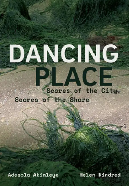 Dancing Place: Scores of the City, Scores of the Shore by Adesola Akinleye, Helen Kindred