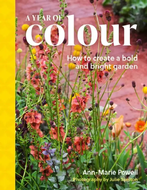 A Year of Colour: How to create a bold and bright garden by Ann-Marie Powell