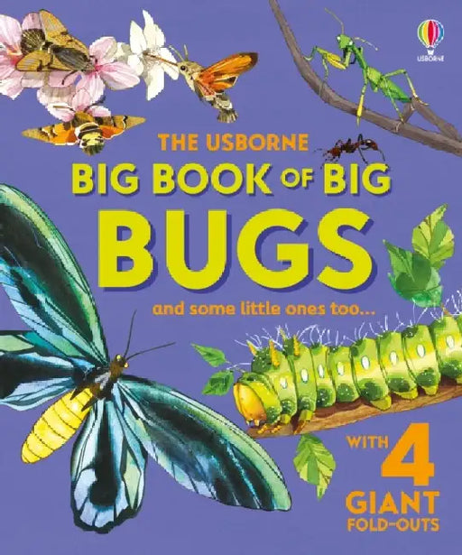 Big Book of Big Bugs by Emily Bone