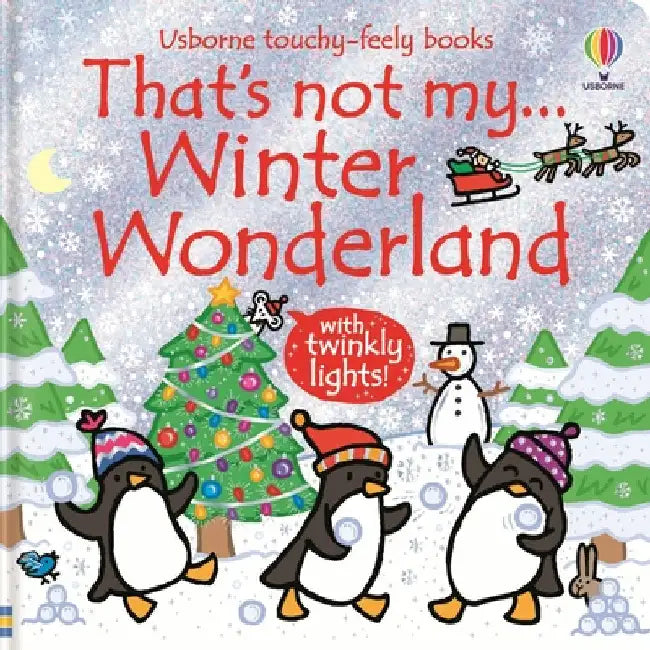 That's not my... Winter Wonderland by Fiona Watt