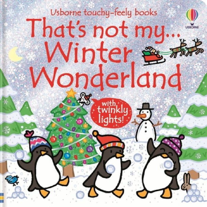 That's not my... Winter Wonderland by Fiona Watt