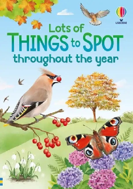 Lots of Things to Spot throughout the year by Lara Bryan