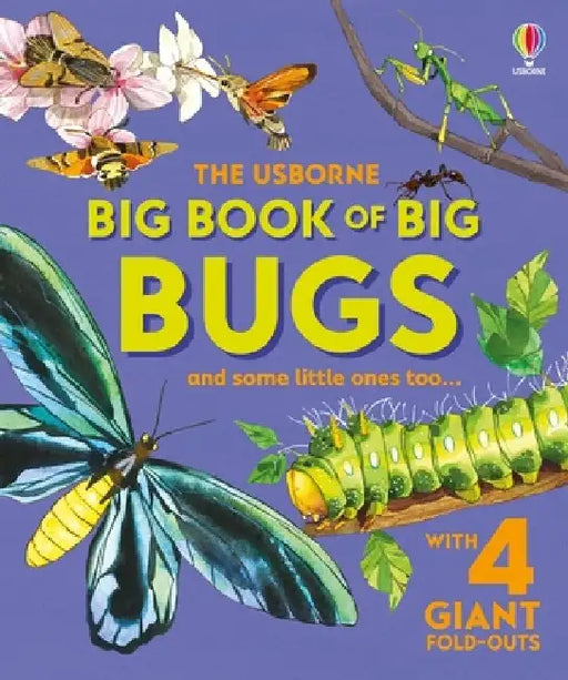 Big Book of Big Bugs by Emily Bone