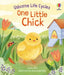 One Little Chick by Lesley Sims, Anastasiia Bielik