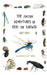 The Further Adventures of Erig the Earwig: The Second Book in the Multi-Award-Winning Children's Series About Nature, Friendship, and Tiny Wonders by Andy Evans, Lucy Fleming
