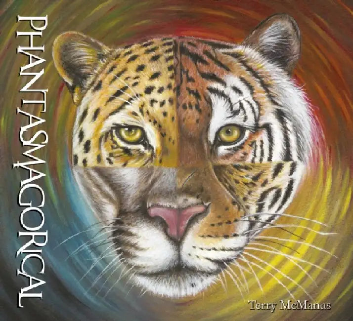 Phantasmagorical by Terry McManus