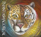 Phantasmagorical by Terry McManus
