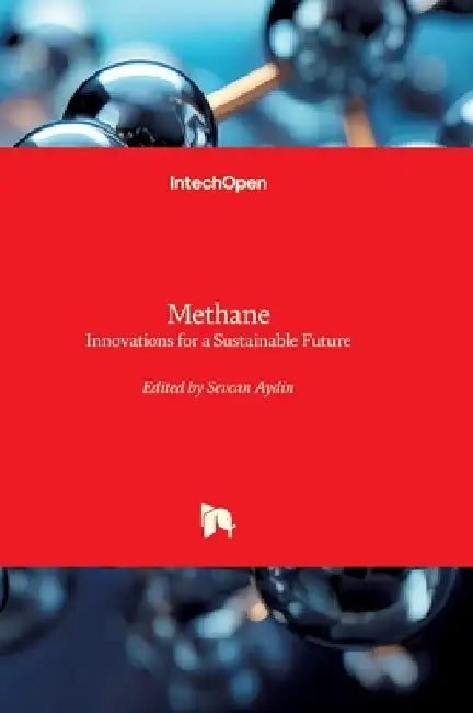 Methane - Innovations for a Sustainable Future: Innovations for a Sustainable Future by Sevcan Aydin