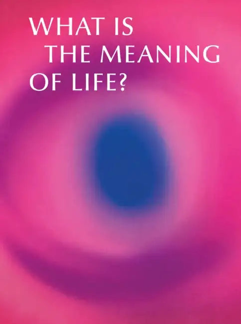 What is the Meaning of Life?: Making and Breaking the Rules We Live By by Tania Moore
