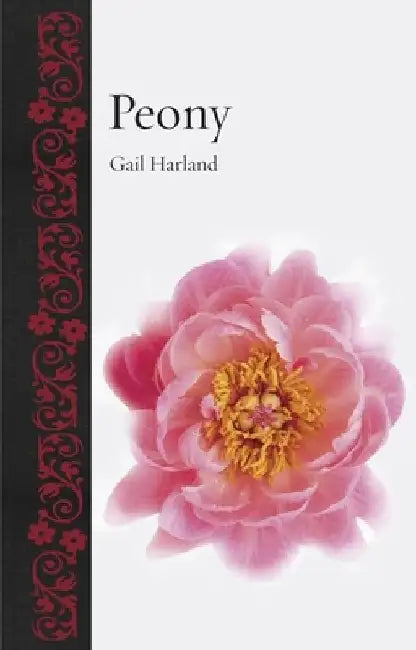 Peony by Gail Harland