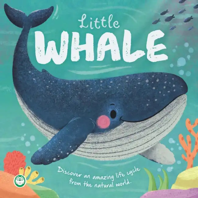 Nature Stories: Little Whale: Discover an Amazing Story from the Natural World by Igloobooks, Gisela Bohórquez
