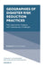 Geographies of Disaster Risk Reduction Practices: New Approaches, Progress, and Contemporary Challenges by Kousik Das Malakar
