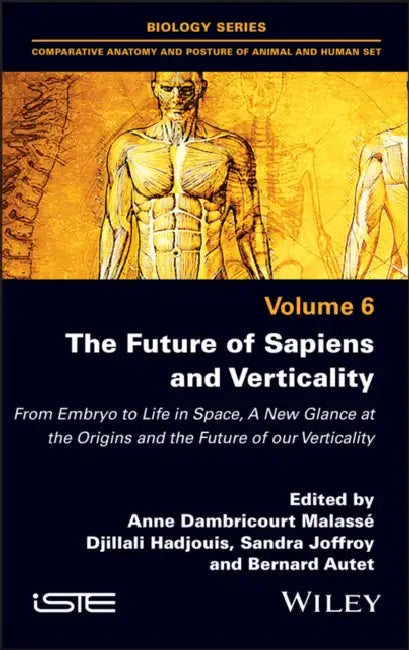 The Future of Sapiens and Verticality by Anne Dambricourt Malasse
