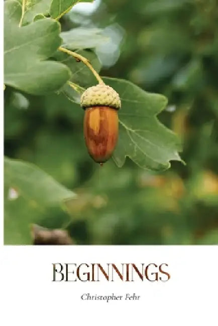 Beginnings by Christopher Fehr