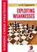 Exploiting Weaknesses: Winning Chess Strategies by Cyrus Lakdawala