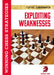 Exploiting Weaknesses: Winning Chess Strategies by Cyrus Lakdawala