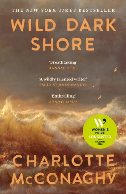Wild Dark Shore by Charlotte Mcconaghy