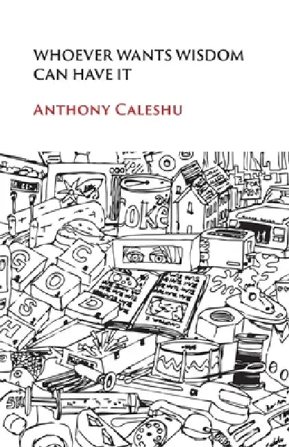 Whoever Wants Wisdom Can Have It by Anthony Caleshu