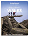 Lonely Planet Experience Wales by Portia Jones